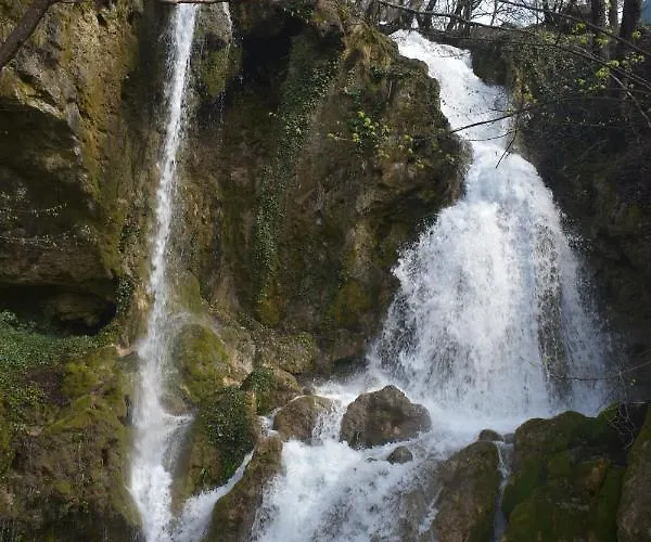 Hotel семеен Bačkovo
